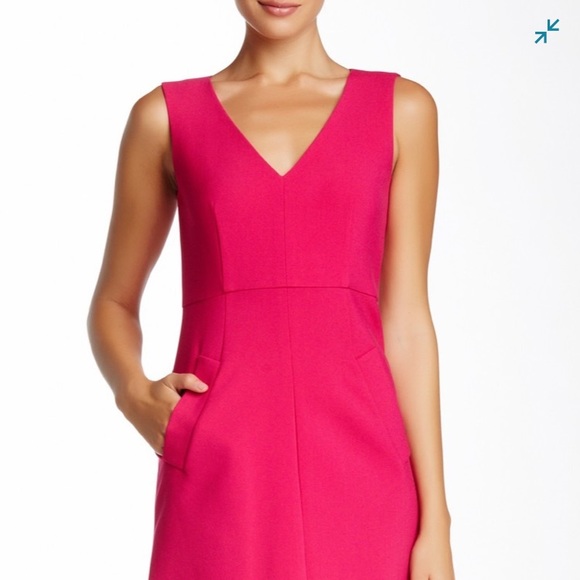 NWT Dian Von Furstenburg A-Line Rose Dress - Picture 2 of 8